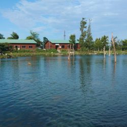 ６時間チャレンジ ～フィッシングパーク高島の泉～